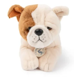 Peluche bouledogue américain Bertha en boîte cadeau - 20 cm