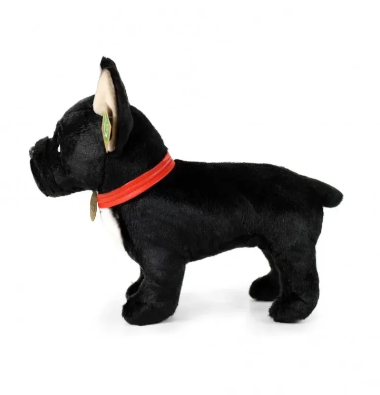 Peluche bouledogue français - 30 cm