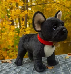Peluche bouledogue français - 30 cm