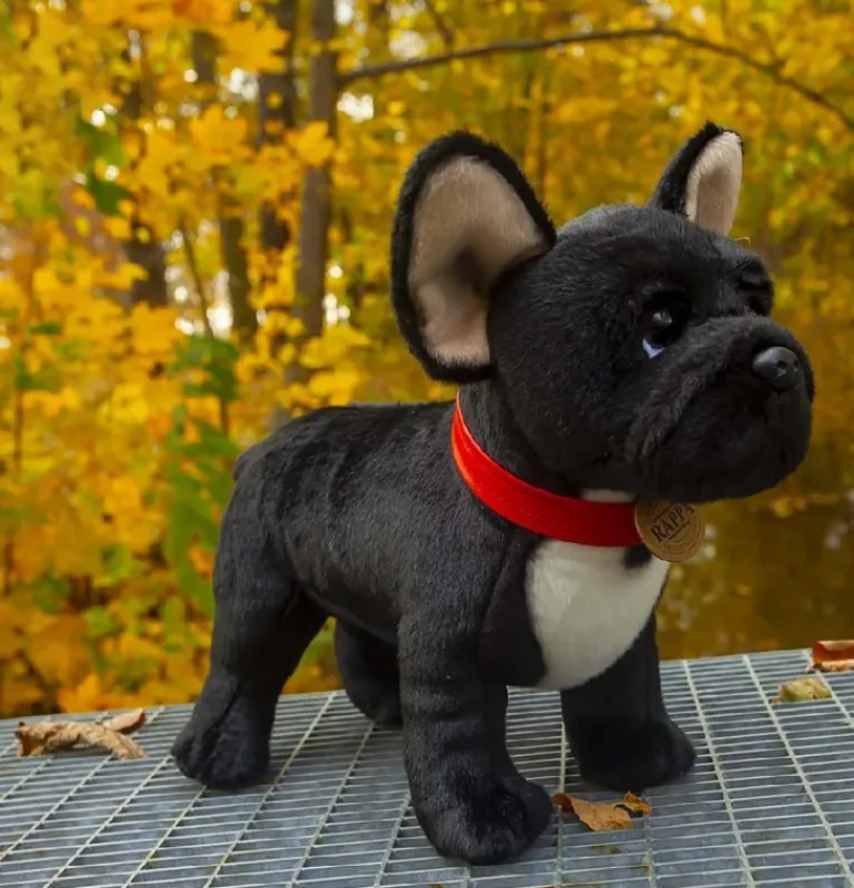 Peluche bouledogue français - 30 cm