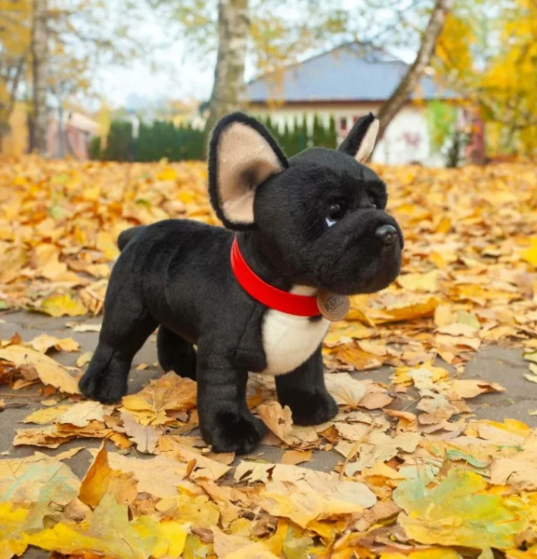 Peluche bouledogue français - 30 cm