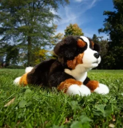 peluche Bouvier Bernois - 30 cm