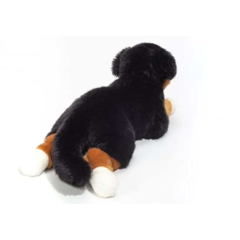 Peluche bouvier bernois couché - 40 cm
