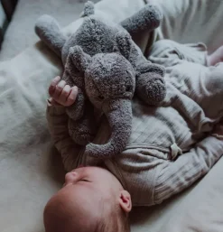 Peluche bruit blanc George l’éléphant gris