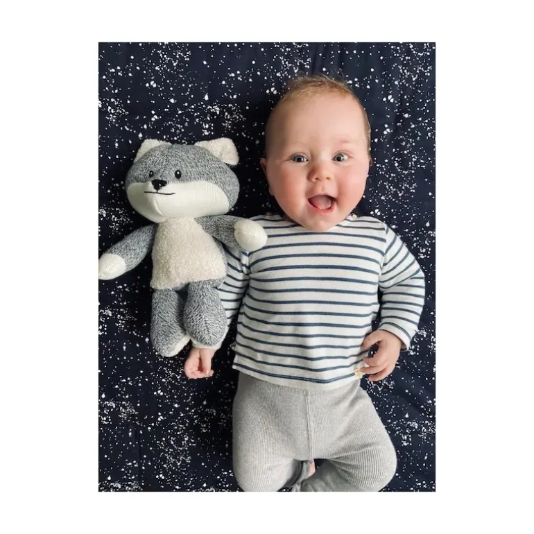 Peluche bruit blanc Renard Robin Gris