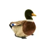 Peluche canard colvert - 34 cm