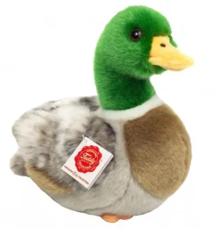 Peluche canard sauvage - 24 cm