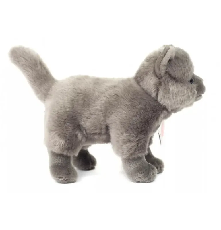 Peluche chat chartreux debout - 20 cm