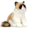 Peluche chat Ragdoll - 43 cm