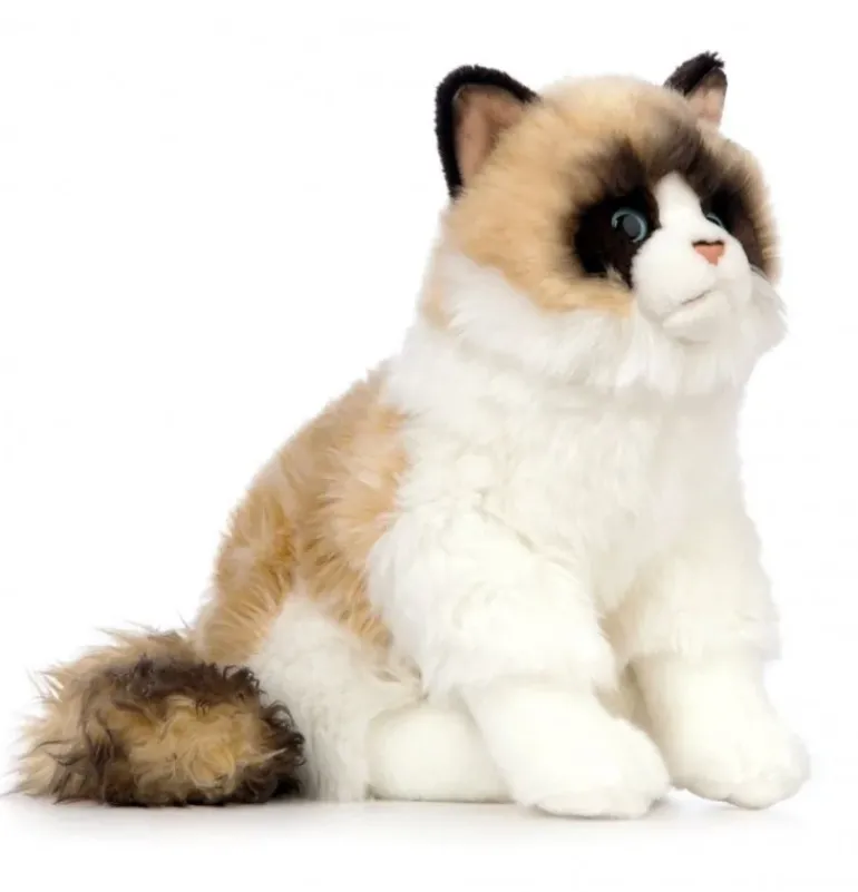 Peluche chat Ragdoll - 43 cm