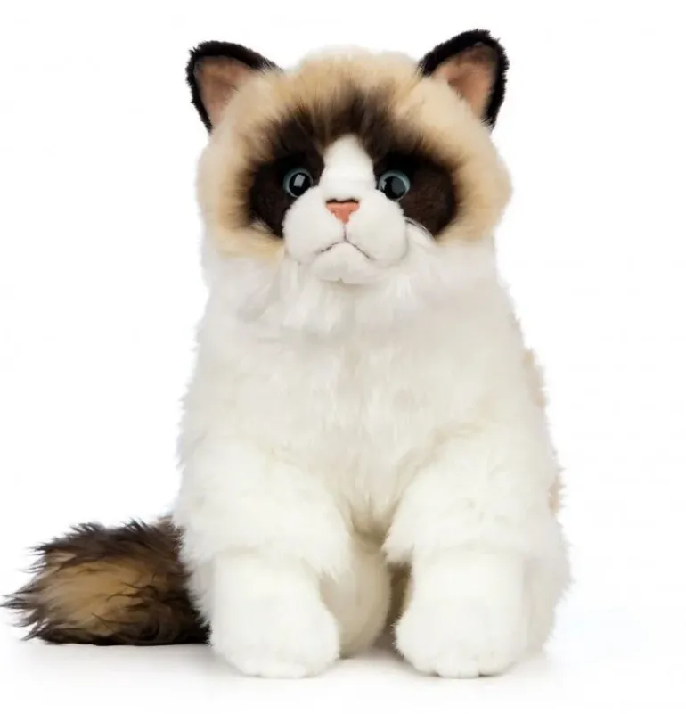 Peluche chat Ragdoll - 43 cm