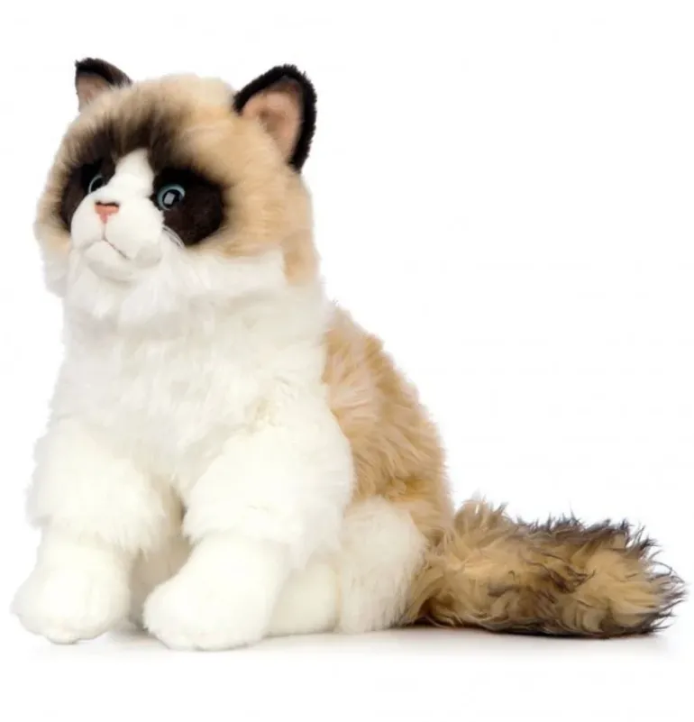 Peluche chat Ragdoll - 43 cm