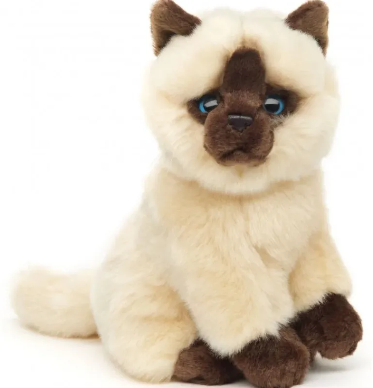 Peluche chat siamois beige-marron assis - 21 cm