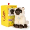 Peluche chat siamois Eddie en boîte cadeau - 17 cm