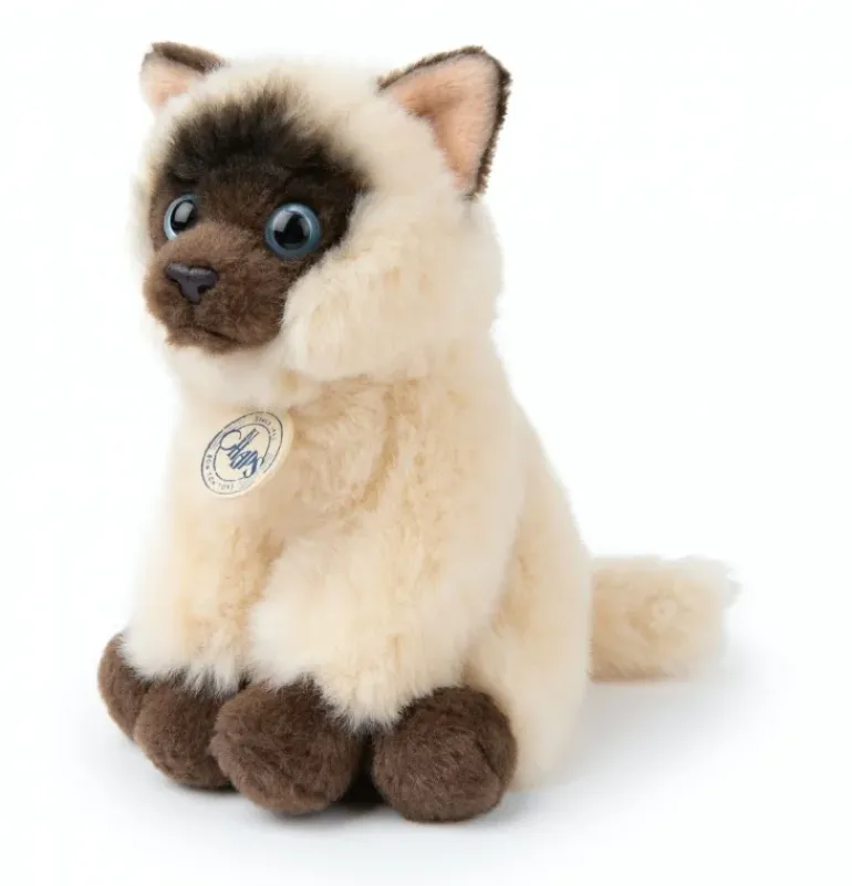 Peluche chat siamois Eddie en boîte cadeau - 17 cm