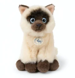 Peluche chat siamois Eddie en boîte cadeau - 17 cm