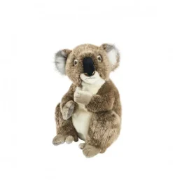 Peluche koala - 30 cm