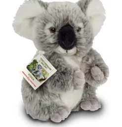 Peluche koala - 21 cm