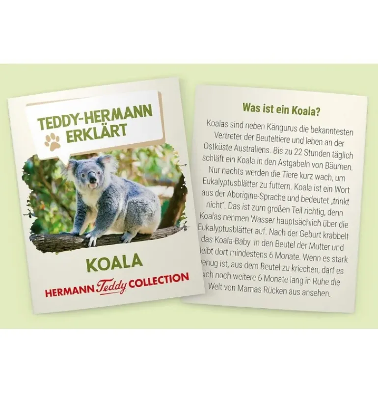 Peluche koala - 21 cm