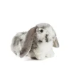 Peluche lapin belier gris