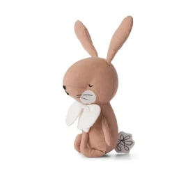 Peluche Lapin Rose dans boîte cadeau