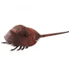 Peluche marionnette limule (crabe fer à cheval)