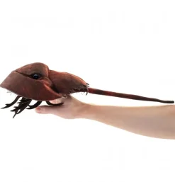 Peluche marionnette limule (crabe fer à cheval)