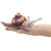 Peluche marionnette mini escargot