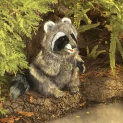 Peluche marionnette Raton laveur