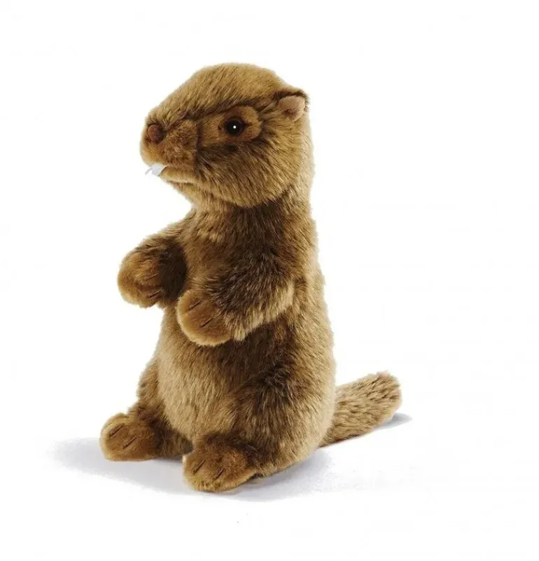 Peluche marmotte siffleuse - 18 cm