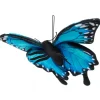 Peluche papillon bleu - 26 cm