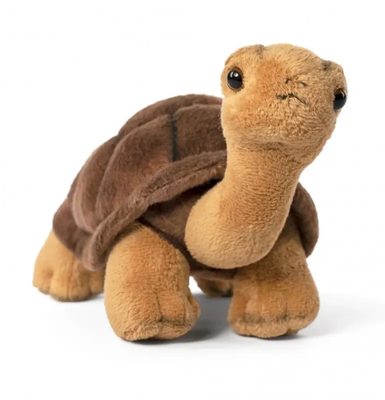 Peluche tortue - 20 cm