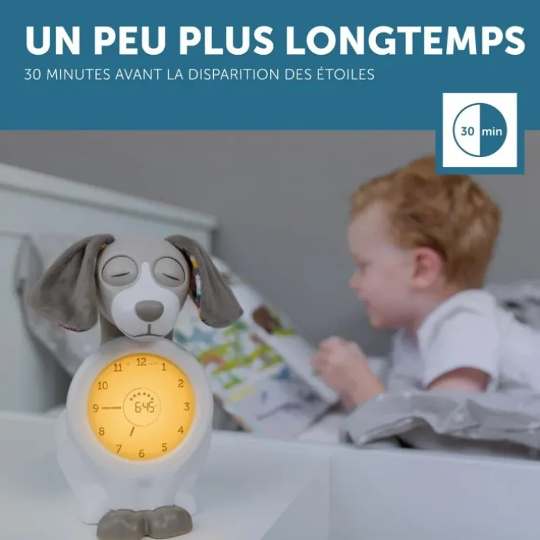 Réveil éducatif veilleuse Davy le chien - Taupe